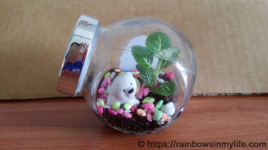 CDAC - HY's terrarium