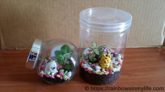 CDAC - terrariums